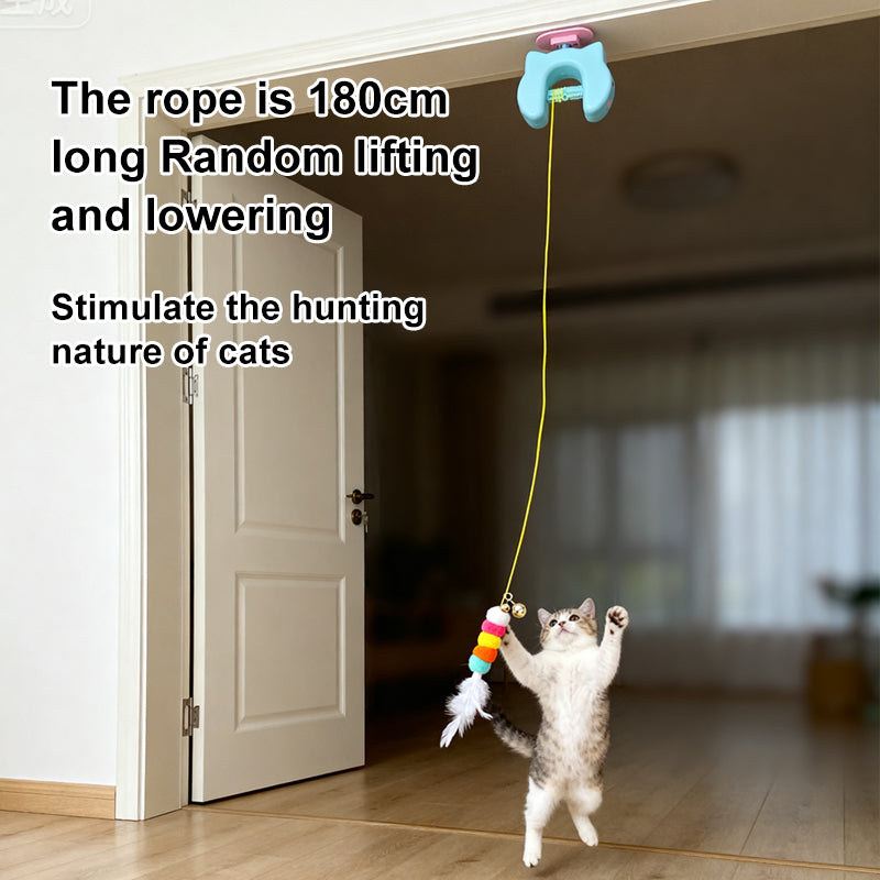 Interactive Hanging Cat Toy